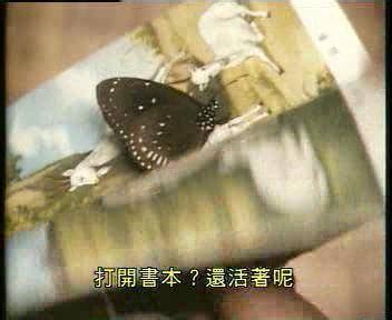 蝴蝶飞进家里 1990年農曆